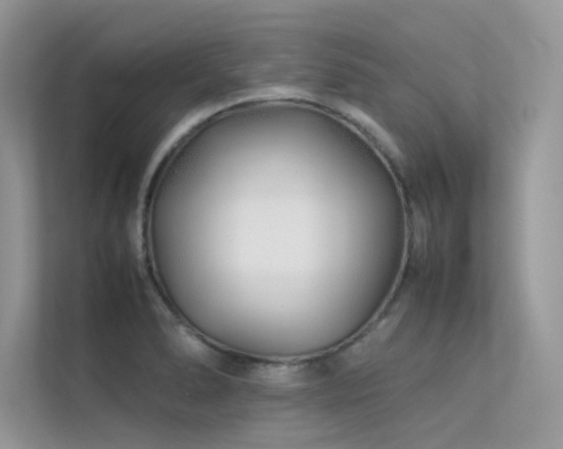 X0000113371278200909151352
