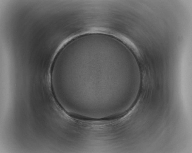 X0000113371280200909151352