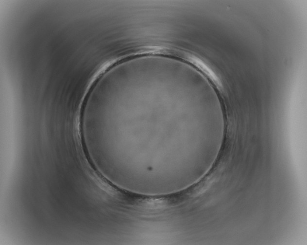 X0000113371283200909151352