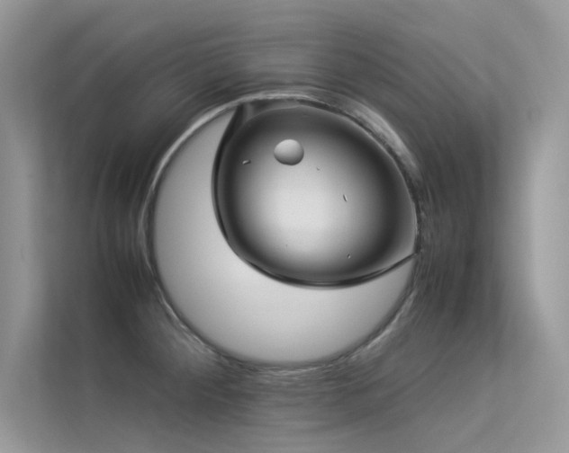 X0000113371284200909151352