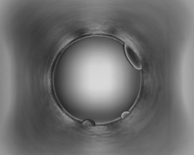 X0000113371285200909151352