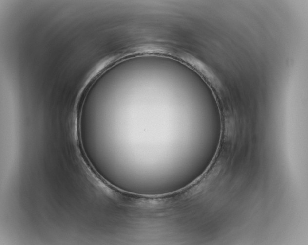 X0000113371286200909151352