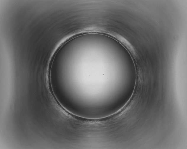X0000113371288200909151352