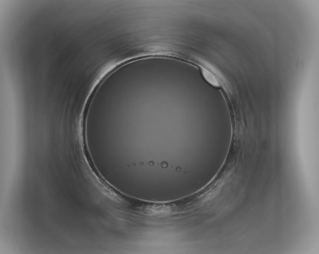 X0000113371291200909151352