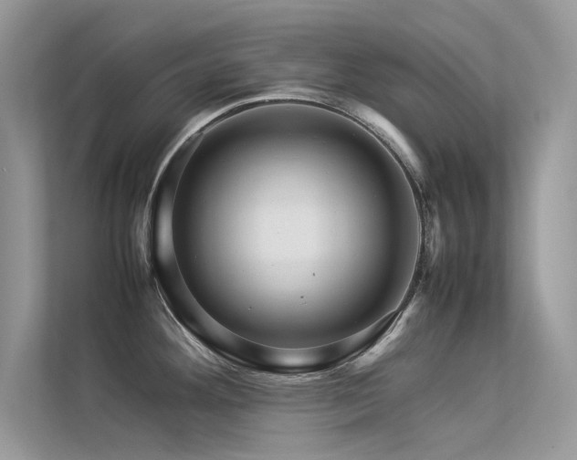 X0000113371292200909151352