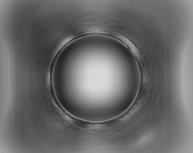 X0000113371293200909151352