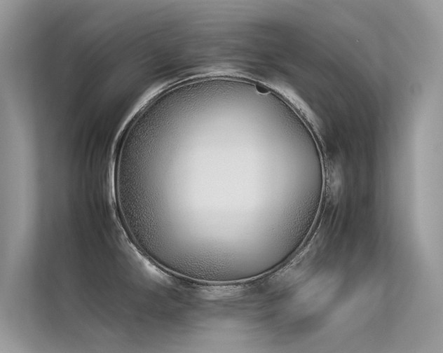 X0000113371294200909151352