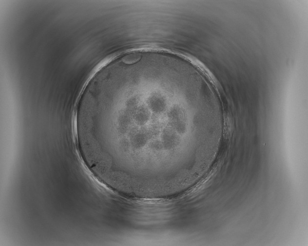 X0000113371295200909151352