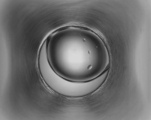 X0000113371296200909151352