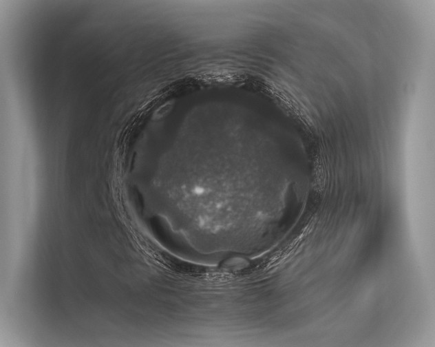 X0000113371297200909151351