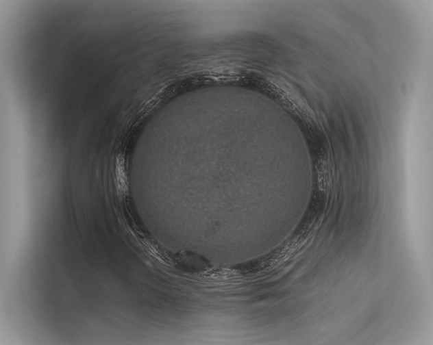 X0000113371298200909151351