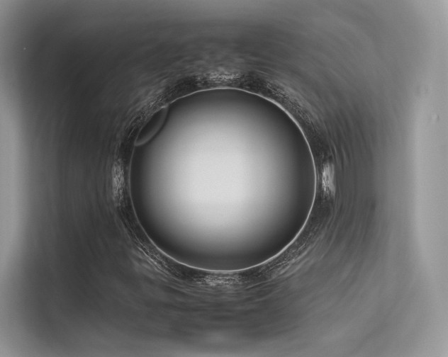 X0000113371299200909151351
