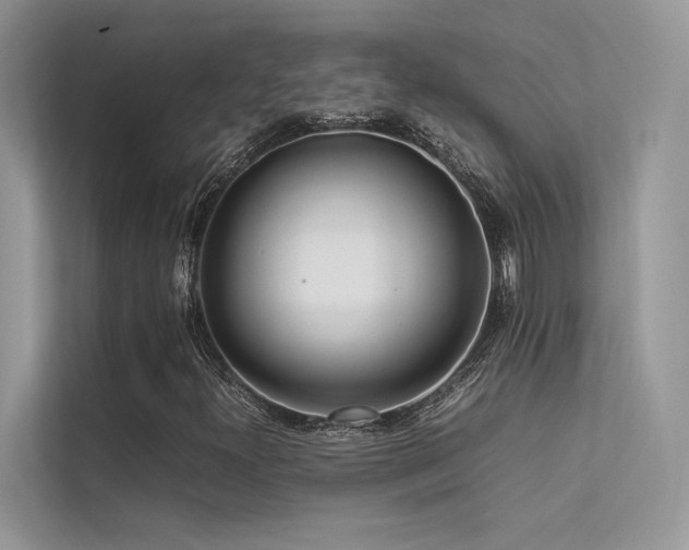 X0000113371300200909151351