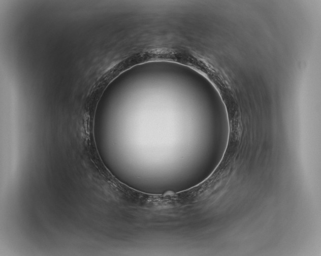 X0000113371301200909151351