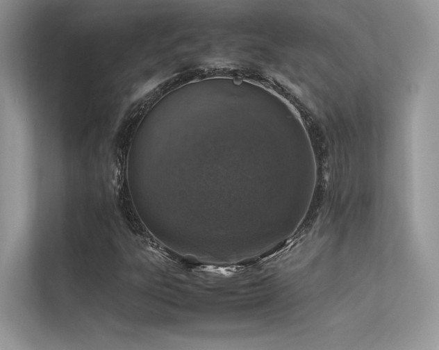 X0000113371303200909151351