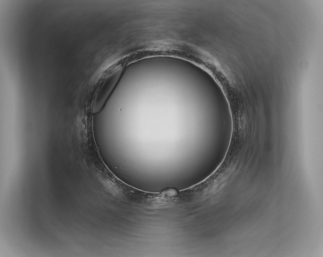 X0000113371304200909151351