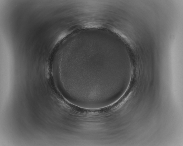 X0000113371306200909151351
