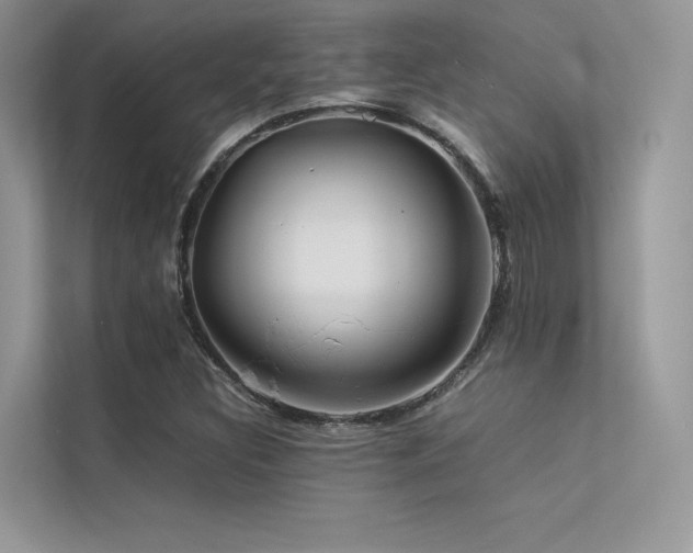 X0000113371308200909151351