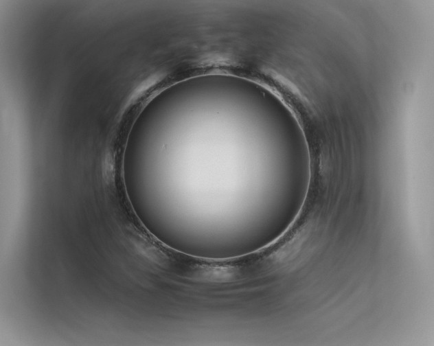 X0000113371309200909151351