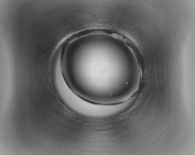 X0000113371310200909151351
