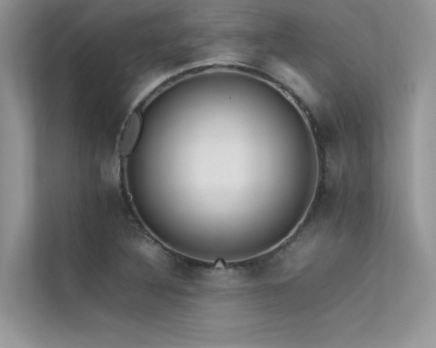 X0000113371316200909151351