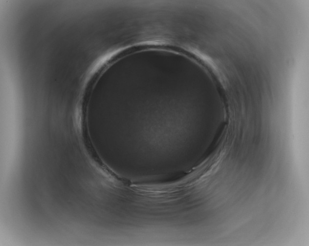 X0000113371319200909151351
