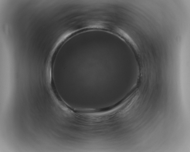 X0000113371323200909151351