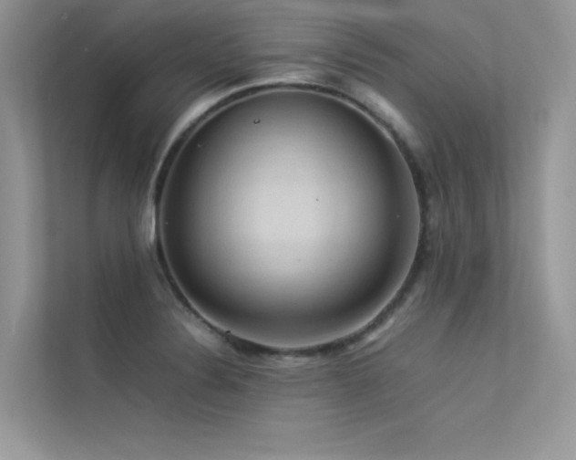 X0000113371324200909151351