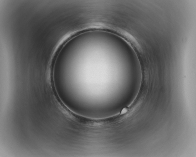 X0000113371326200909151351