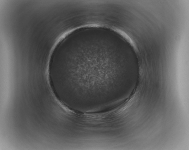 X0000113371327200909151351