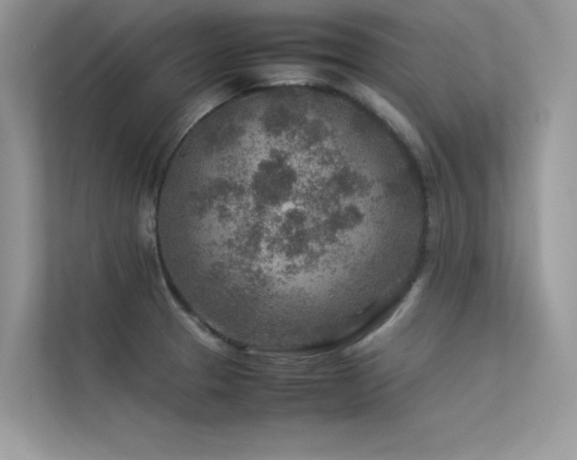 X0000113371329200909151351