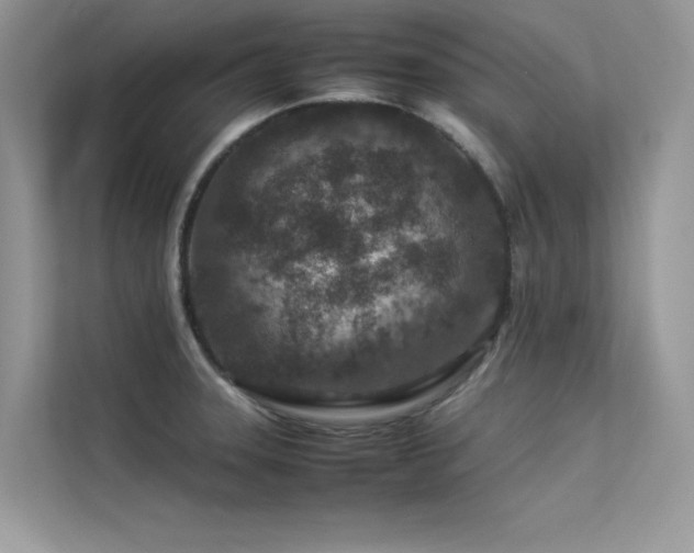 X0000113371331200909151351