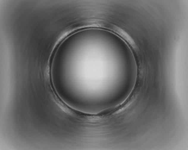 X0000113371332200909151351