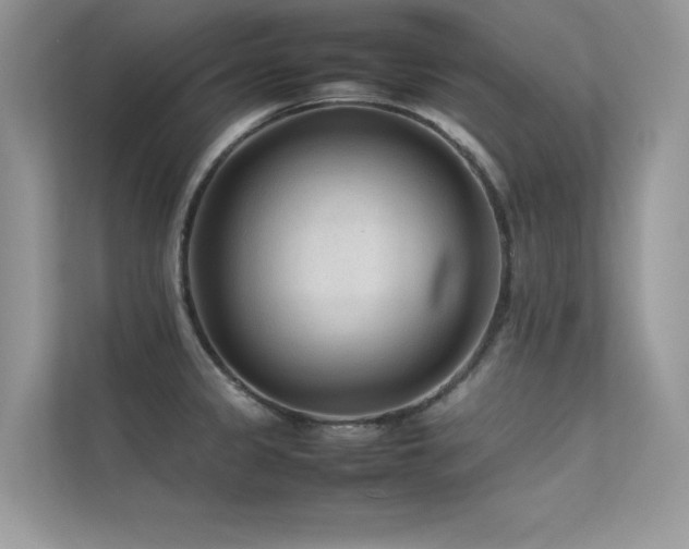 X0000113371333200909151351