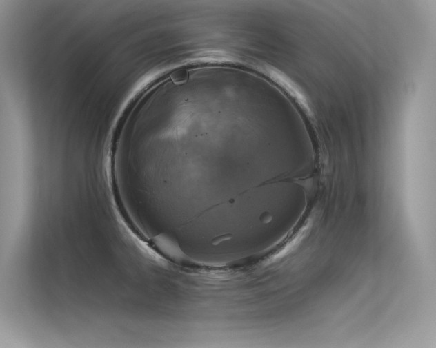 X0000113371334200909151352