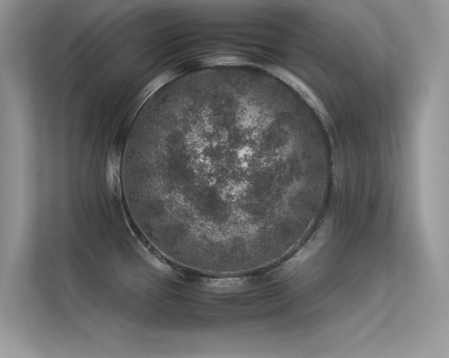 X0000113371337200909151352