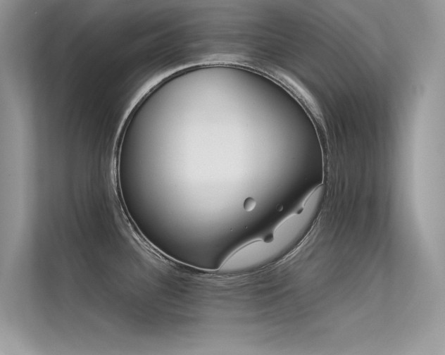 X0000113371340200909151352