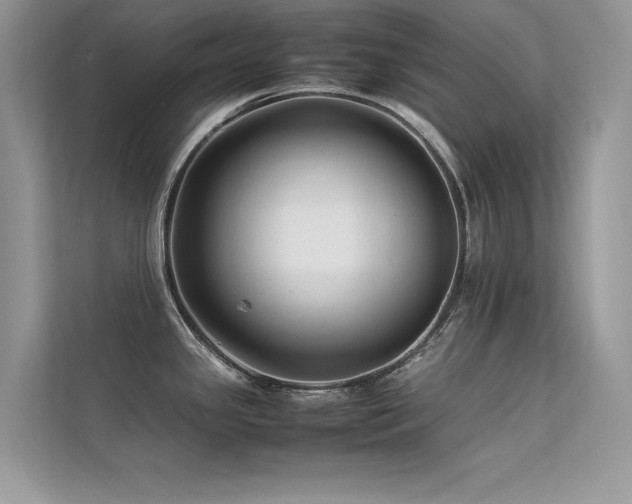X0000113371341200909151352