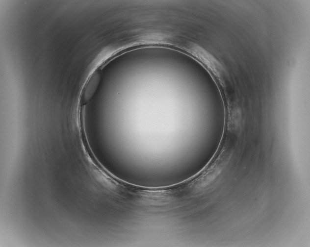 X0000113371342200909151352