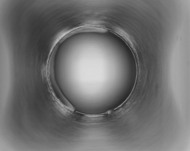X0000113371344200909151352