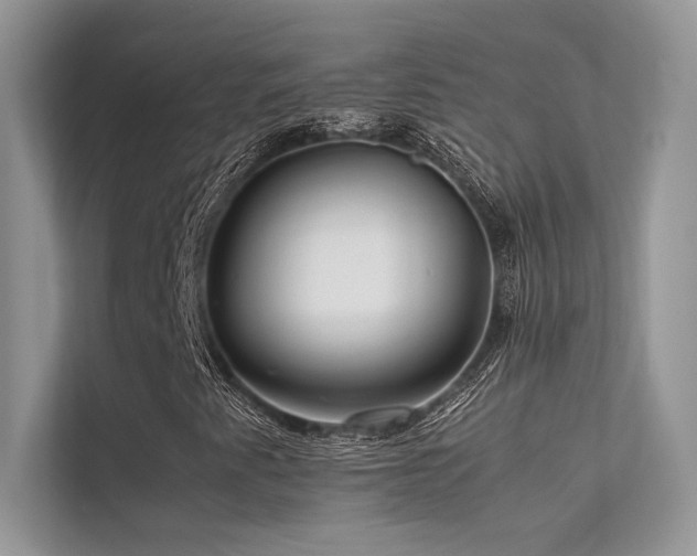X0000113371345200909151351