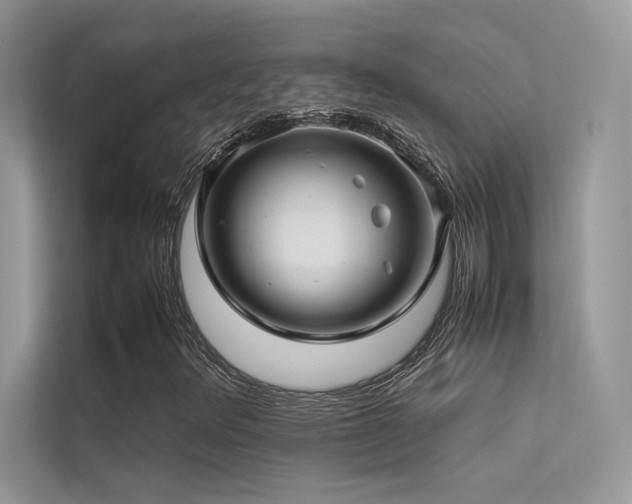 X0000113371348200909151351