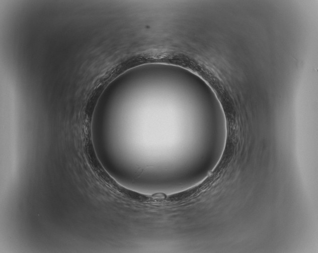 X0000113371349200909151351
