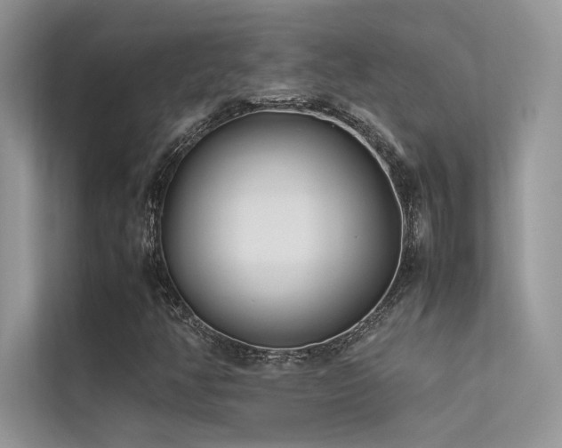 X0000113371350200909151351