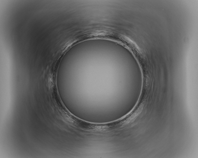 X0000113371353200909151351