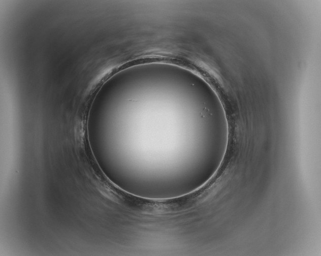 X0000113371355200909151351