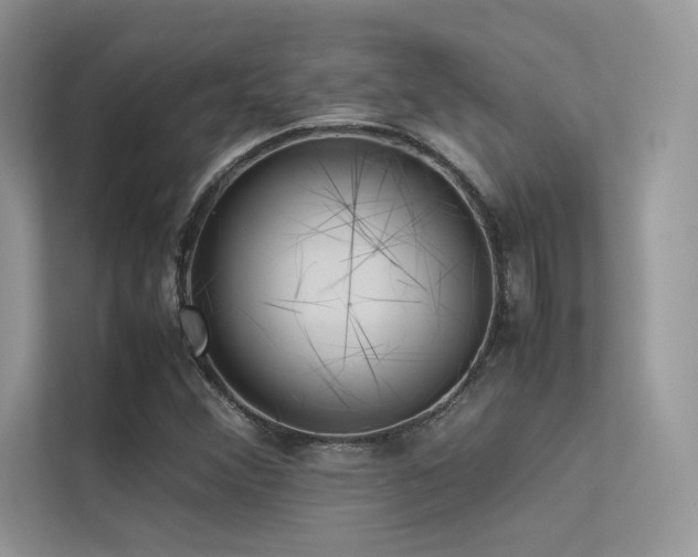 X0000113371356200909151351