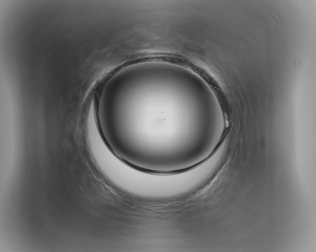 X0000113371357200909151351