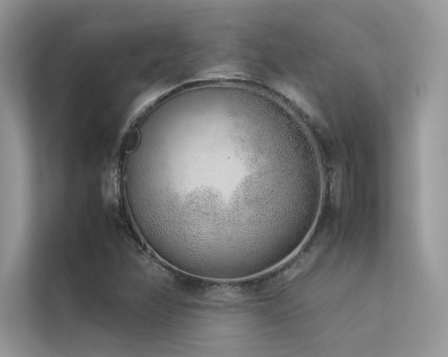 X0000113371358200909151351