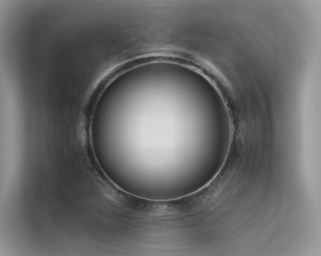 X0000113371360200909151351